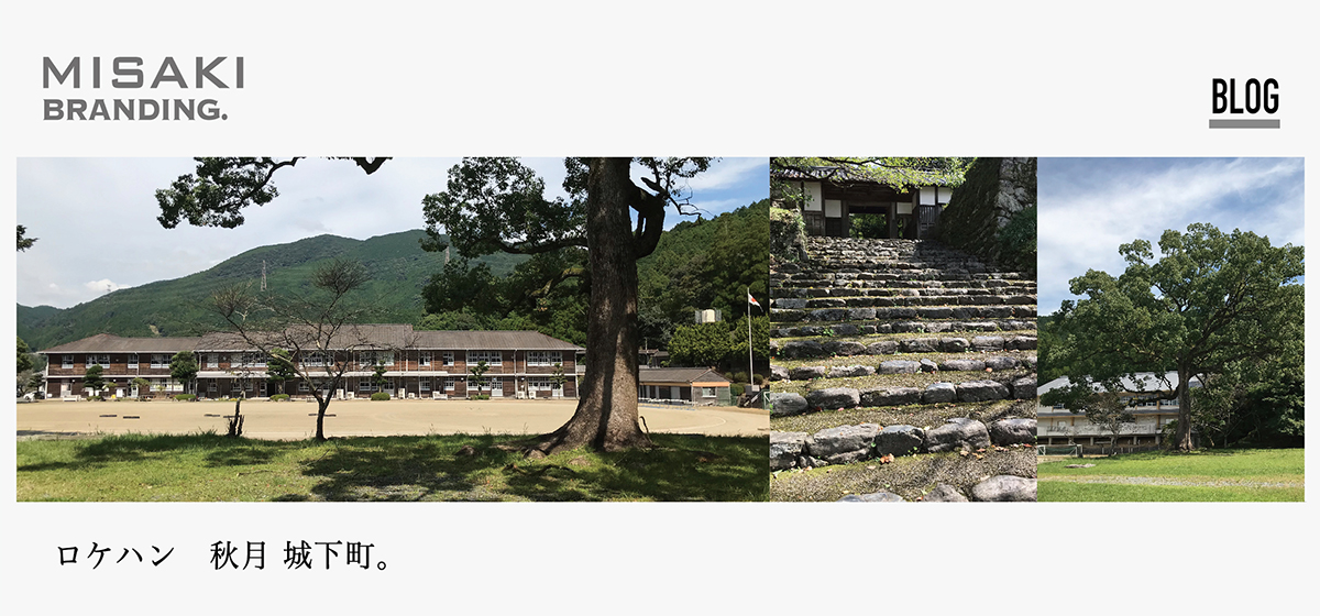 01.特集